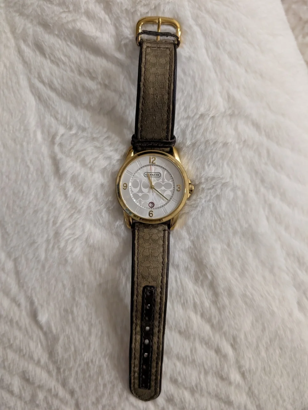 Coach Watch